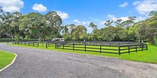 14339 Collecting Canal Road Gallery 15