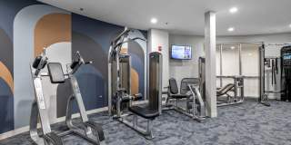 Avant at the Arboretum Gallery 17