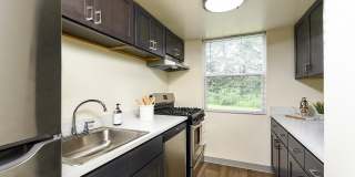 Vairo Village Gallery 2