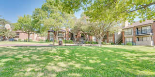 Bardin Oaks Gallery 43
