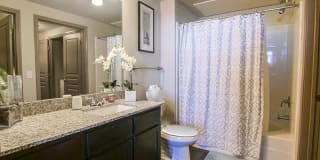 Anatole on Briarwood Gallery 38