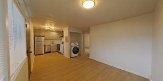 University Manor - Newly Renovated Units just a short walk from Campus! Gallery 53