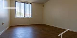 Huge 2 bed in Allston Gallery 4