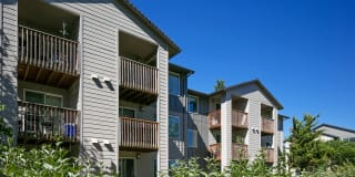 River Terrace Gallery 27