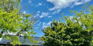 286 Hummingbird Court Gallery 1