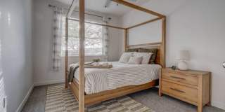 Park Lane Village Gallery 8