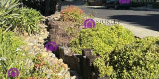 1257 Cougar Lane Gallery 23