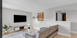 955 Dotterel Road Gallery 20