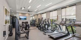 The Pomelo Gallery 11