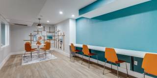 Carisma Gallery 7