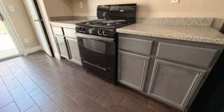 3208 BRAYTON MIST Drive Gallery 12