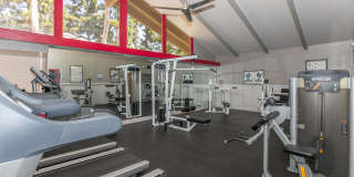 Country Woods Apartment Homes Gallery 6