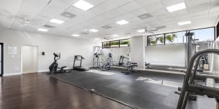 Copeland Village Gallery 5