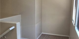 1154 Maple Pines Avenue Gallery 9
