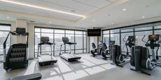 Nolan Mains Gallery 15