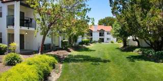 Laurel Creek Gallery 6