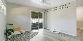 The Elizabeth Gallery 8