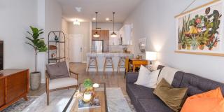 Cortland Oleander Gallery 9