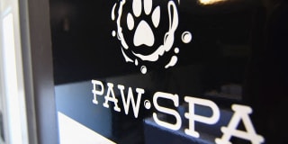 Strathmoor Gallery 4