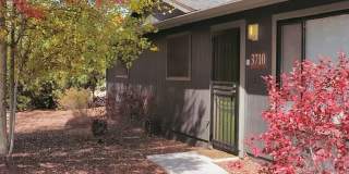 The Place At Forest Ridge Apartments Gallery 5