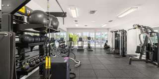 Bermuda Cay Gallery 27