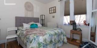 4Bed 2Bath in Brookline - 9/1/26 (H&HW Included - Parking Available) Gallery 5