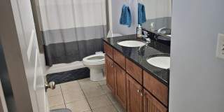 -- -- Gallery 24