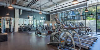 The Lola The Lola Gallery 26