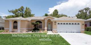 7337 Cone Shell Dr Gallery 1