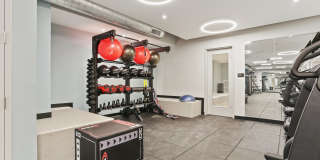 Harvard Hall Gallery 10