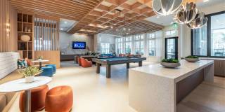 Alta Citron Gallery 19