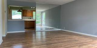 Available Now! Gallery 1