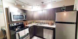 The Slip In Gallery 12