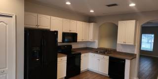 15702 Fishhawk Falls Dr Gallery 10