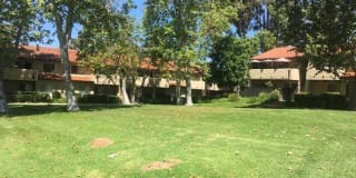 117 W Avenida De Los Arboles Gallery 19
