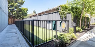 The Pierce Gallery 87