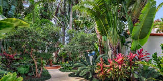 56 S Hibiscus Dr Gallery 12