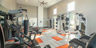 Axio 8400 Gallery 26