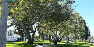 320 12th Street Gallery 40