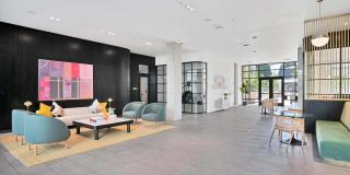 Denizen Gallery 24