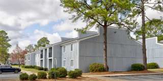 Pine Ridge Gallery 7