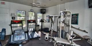 11416 E AUTUMN SAGE Drive Gallery 49