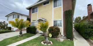 BEVERLY BEVERLY Gallery 1