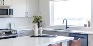 The BLU The BLU Gallery 7