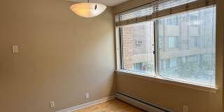 Lovely Lowry Hill 1 Bedroom Condo Gallery 13