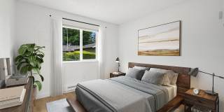 ReNew Dash Point Gallery 5