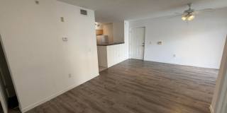 4081 San Marino Boulevard Gallery 5