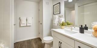 Arista Flats Gallery 27