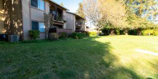 Meadowood Village Gallery 1