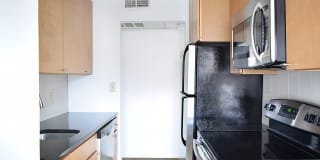 Ricardo Ricardo Gallery 38